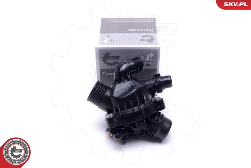 Thermostat, coolant